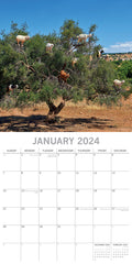 Goats in Trees - 2024 Square Wall Calendar Pets Animals 16 Month New YearPlanner