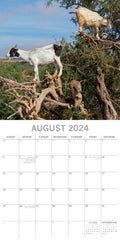 Goats in Trees - 2024 Square Wall Calendar Pets Animals 16 Month New YearPlanner