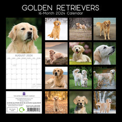 Golden Retrievers - 2024 Square Wall Calendar Pets Dog 16 Months Premium Planner