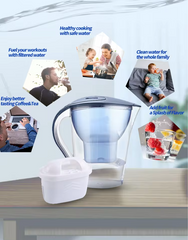 1 x  Pitcher FIlter
