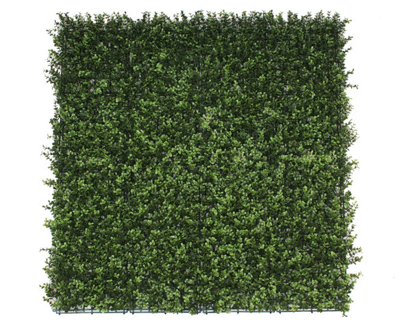 Premium Natural Buxus Hedge Panels UV Resistant 1m x 1m