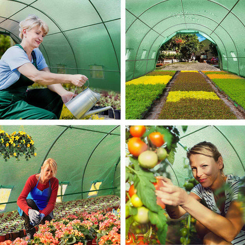 Green Fingers Greenhouse 6x3x2M Walk in Green House Tunnel Plant Garden Shed Dome