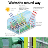 Green Fingers Greenhouse 6x4x2M Walk in Green House Tunnel Plant Garden Shed Dome