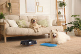 4-in-1 Slow Feeder Dog Bowl - Dark Grey Bowl with Blue Lickmat