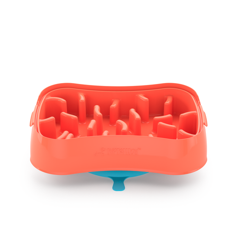 4-in-1 Slow Feeder Dog Bowl - Warm Ocean Red Bowl with Teal Lickmat