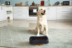 Marley Slowappy Slow Feeder  Bowl - Dark Grey