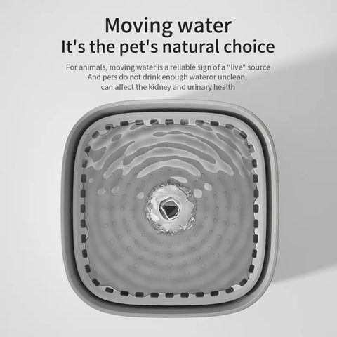 3L Cat Water Fountain Large Filter USB