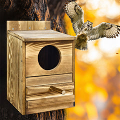 Owl Nesting Box Bird Feeder Paulownia Wood Acrylic