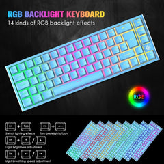 67 Keys Layout Design Mechanical Gaming Keyboard PC PS4 RGB Backlight Wired USB Blue