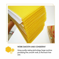 30Pcs Bee Hive Wax Honeycomb Bee Hives Beekeeping Equipment Frames Foundation