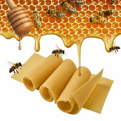 30Pcs Bee Hive Wax Honeycomb Bee Hives Beekeeping Equipment Frames Foundation