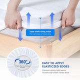 Fully Fitted Waterproof Cotton / Non Woven Mattress Protector Cover Double