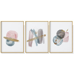 Wall Art 40cmx60cm Blush Pink Watercolor 3 Sets Gold Frame Canvas