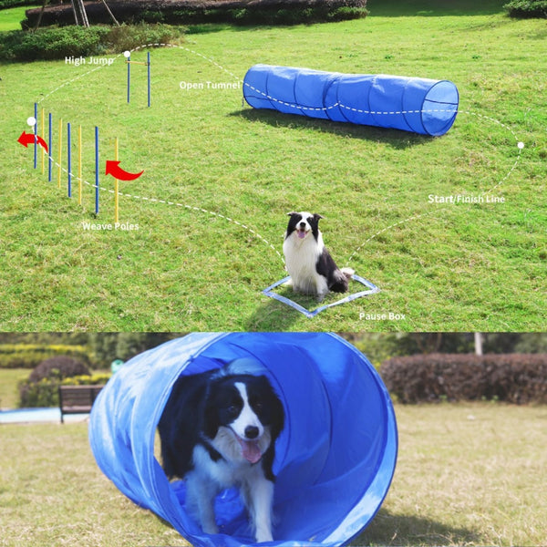 Floofi Dog Agility Training Set