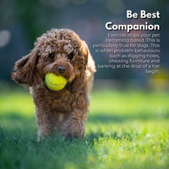 FLOOFI Automatic Ball Launcher (Green)