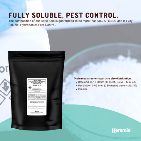 100g Boric Acid Powder High Purity Fully Soluble Granule Pest Ant Cockroaches
