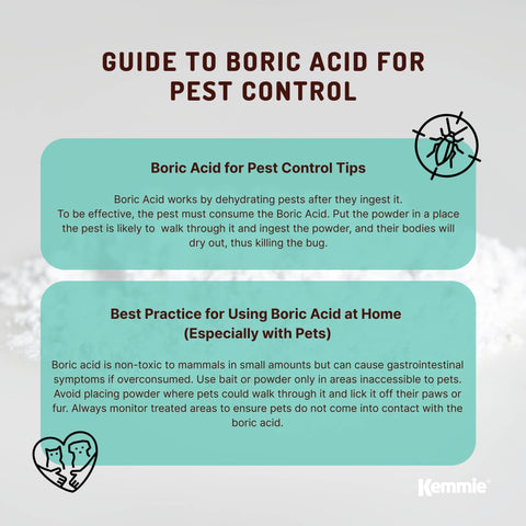 100g Boric Acid Powder High Purity Fully Soluble Granule Pest Ant Cockroaches