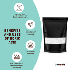 100g Boric Acid Powder High Purity Fully Soluble Granule Pest Ant Cockroaches