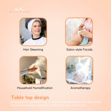 Ellie & Ruby 2-in-1 Facial Hair Steamer Ozone Steam Machine Portable Tabletop