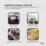 50L Perlite Medium Premium Soil Expanded Plant Growing Media Plants Hydroponics