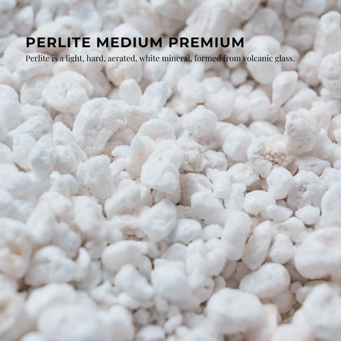 100L Perlite Medium Premium Soil Expanded Plant Growing Media Plants Hydroponics