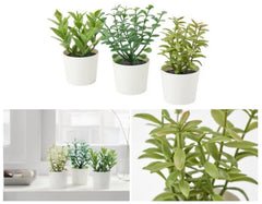3 Pack of Artificial Herb Potted Plants in White Plastic 5cm Pot Interior Decoration