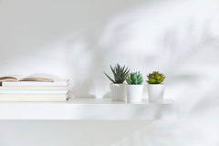 3 Pack of Artificial Succulent Potted Plants in White Plastic 6cm Pot Interior Decoration