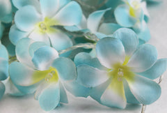 1 Set of 20 LED Tropical Blue Frangipani Flower Battery 3m String Lights Christmas Gift Home Wedding Beach Party Decoration Outdoor Table Centrepiece