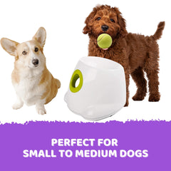 Automatic Ball Launcher Throwing Machine Dog Toys Interactive Tennis Pet 3Balls