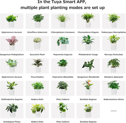 Intelligent Flower Pot, Electronic Bud, Maintenance Plant Assistant, Fun Interactive Flower Pot, Indoor Green Planting Monitoring, LCD Screen Display, Cell Phone APP Connection (Purple)