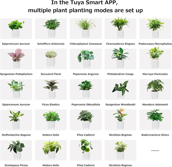 Intelligent Flower Pot, Electronic Bud, Maintenance Plant Assistant, Fun Interactive Flower Pot, Indoor Green Planting Monitoring, LCD Screen Display, Cell Phone APP Connection (White)