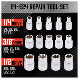 14Pc E Torx Socket Set Female Start Bit External Hex Torque E4-E24 With Case
