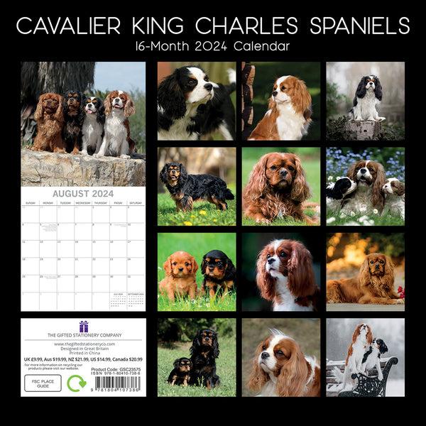 Cavalier King Charles Spaniels - 2024 Square Wall Calendar Dog 16 Months Planner