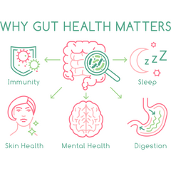 Fossil Shell Flour Powder - Food Grade Diatomaceous Earth - 250g