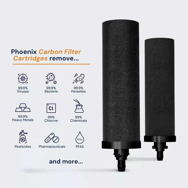 Phoenix Stainless Steel 8L with Smart Carbon Filter