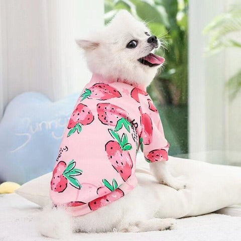 S Size Cute Pet Dog Warm Jumper Sweater Clothes Cat Knitwear Knitted Coats Winter - Yellow Shiba Inu