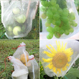 50X Fruit Net Bags Agriculture Garden Vegetable Protection Mesh Insect Proof - 15*25 (50 PCS)