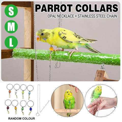 Parrot Neck Collar Stainless Steel Bird Chain Training Adjustable Bird Leash - L-Diameter 2.2cm