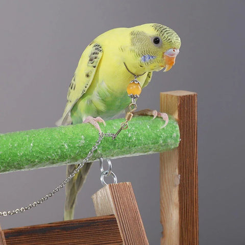 Parrot Neck Collar Stainless Steel Bird Chain Training Adjustable Bird Leash - M-Diameter 1.9cm
