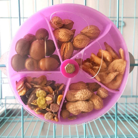 Parrot Foraging Toy Bird Chew Wheel Food Dispenser Divider Box Cage Accessory - Purple