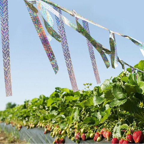 Bird Repellent Laser Reflective Tape Garden Birds Deterrent Double-Side Tapes
