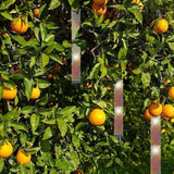 Bird Repellent Laser Reflective Tape Garden Birds Deterrent Double-Side Tapes