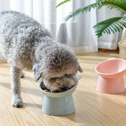Elevated Pet Bowl Cat Dog Feeder Food Water High-Foot Anti Vomiting Tilted Bowl - Green