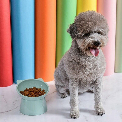 Elevated Pet Bowl Cat Dog Feeder Food Water High-Foot Anti Vomiting Tilted Bowl - Green