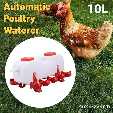 10L Chicken Poultry Automatic Drinking Tank Drinker Feeding Pot Water Dispenser