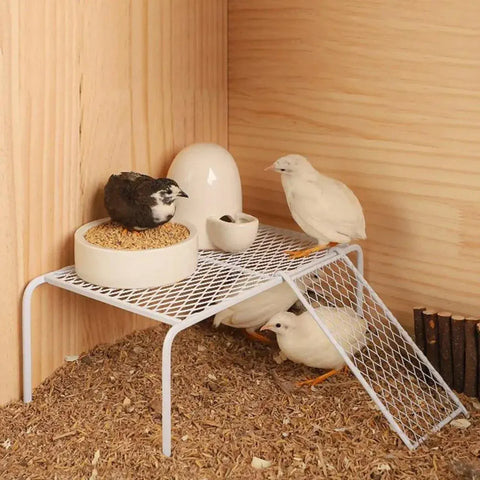 Metal Iron Chicken Feeding Ladder Grid Shelving Landscaping Platform Supplies - White-L