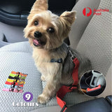 Adjustable Pet Harness Lead for Car Travel with Clip Attachment Nylon Restraint Strap - Purple