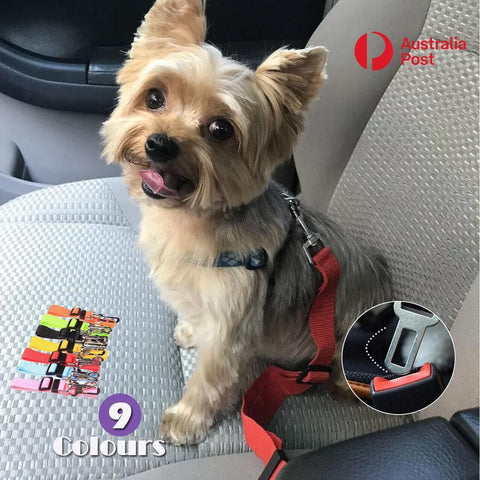 Adjustable Pet Harness Lead for Car Travel with Clip Attachment Nylon Restraint Strap - Purple