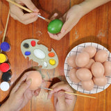 Plastic Painting Eggs DIY Toy Fake Eggs Colourful Drawing Craft Durable Egg - 6PCS