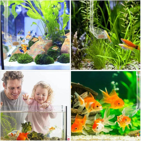 Aquarium Feeding Tube Multifunctional Fish Tank Floating Feeding Ring Shrimp Feeder